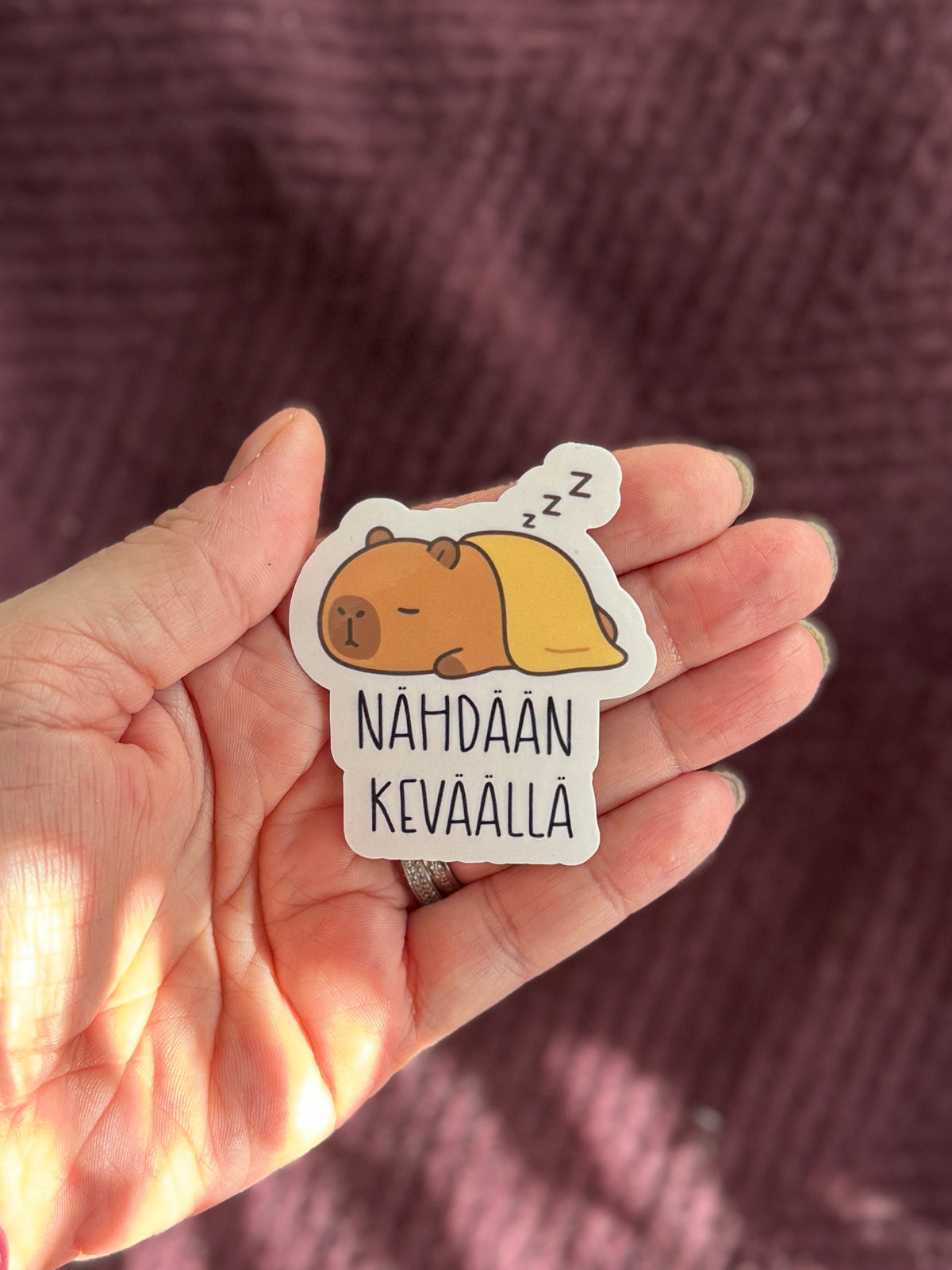 Nähdään keväällä | Hauska vinyylitarra