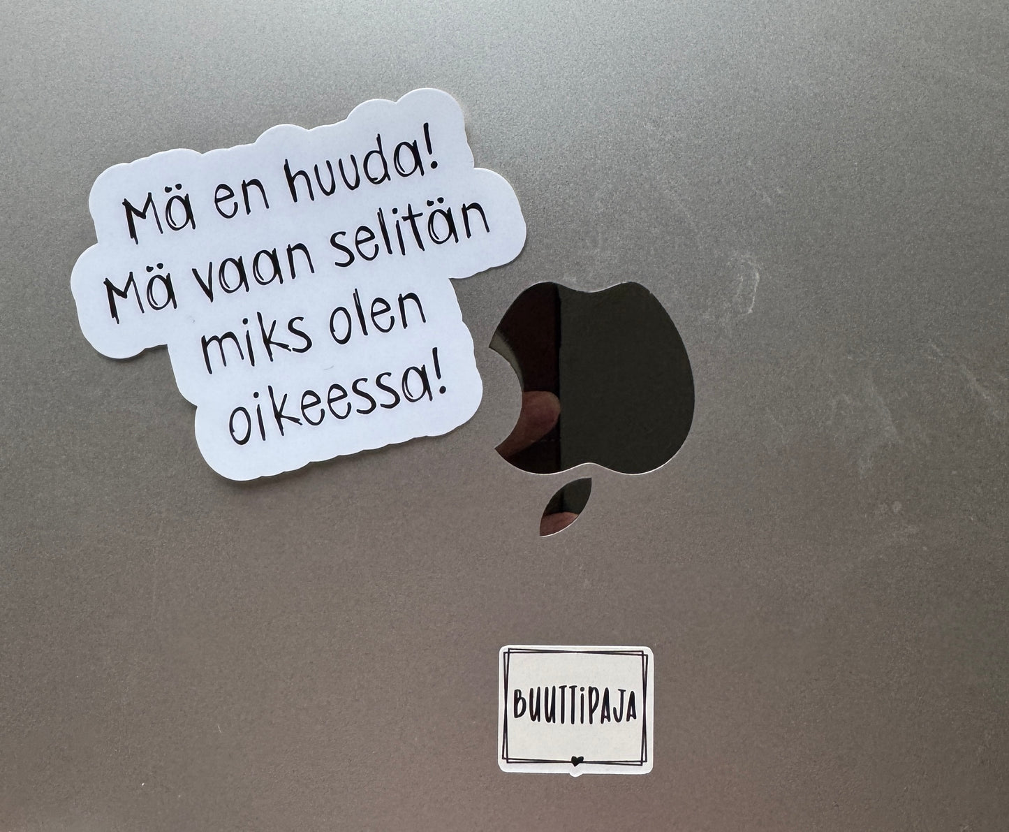 Mä En Huuda! Mä Vaan Selitän Miks Olen Oikeassa! | Hauska Vinyylitarra