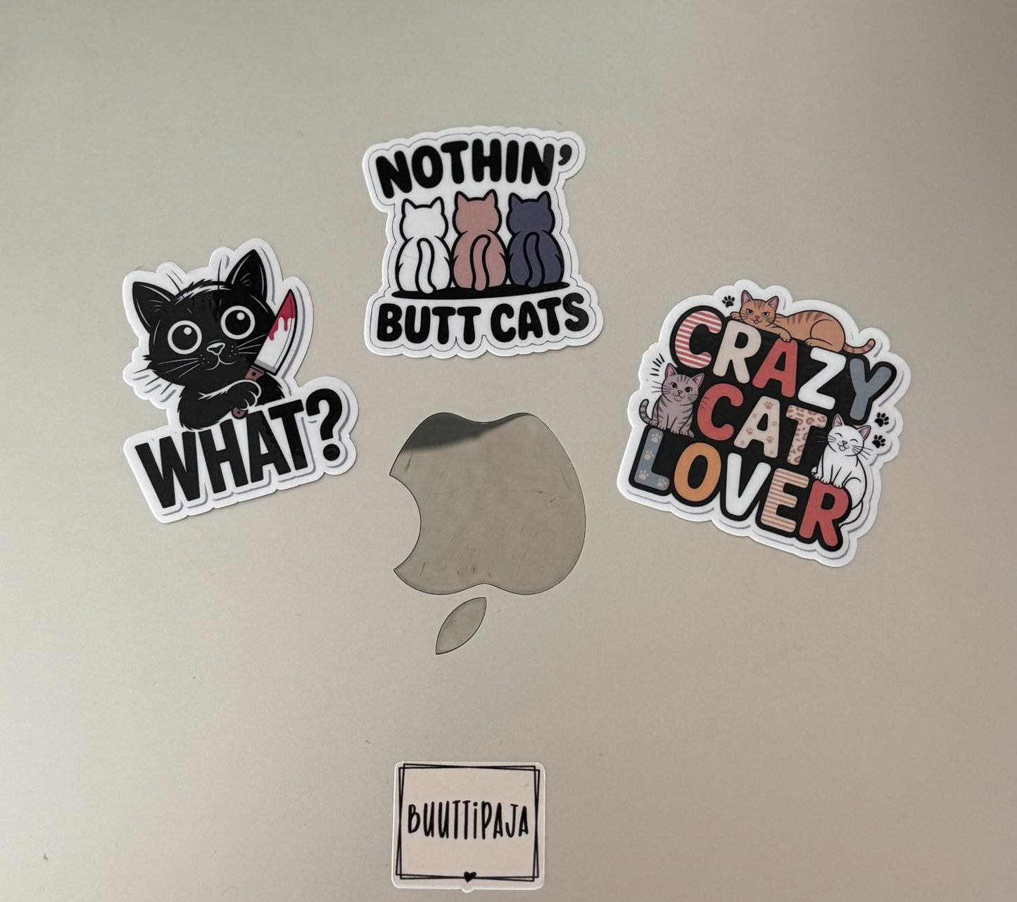 Kissaihmisen Tarra Setti | 3 Laminoitua Vinyylitarraa | Crazy Cat Lover, Nothin' Butt Cats & What?