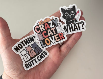 Kissaihmisen Tarra Setti | 3 Laminoitua Vinyylitarraa | Crazy Cat Lover, Nothin' Butt Cats & What?