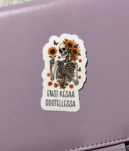 Ensi Kesää Odotellessa – Laminoitu vinyylitarra
