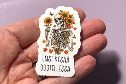 Ensi Kesää Odotellessa – Laminoitu vinyylitarra