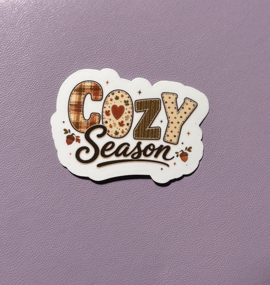 Cozy Season – Laminoitu vinyylitarra