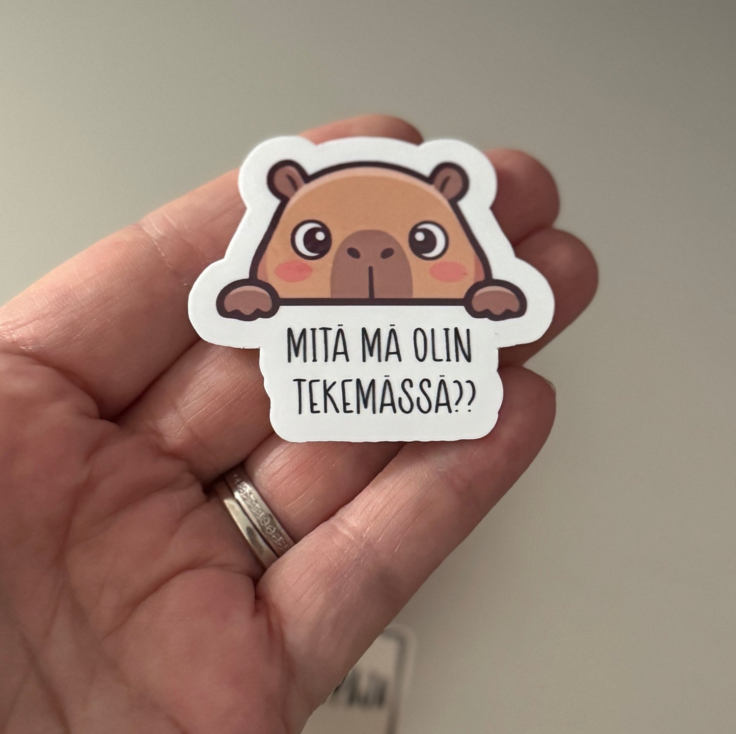 Mitä mä olin tekemässä?? – Laminoitu vinyylitarra