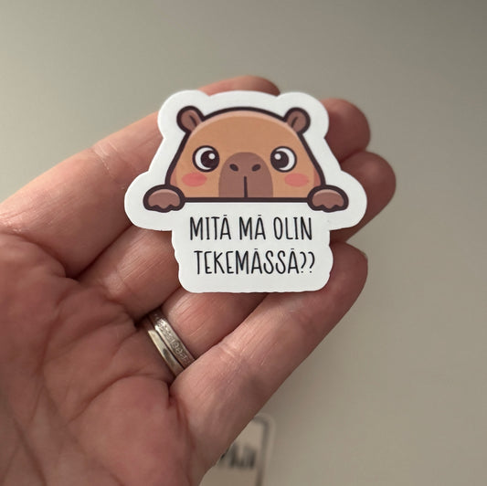 Mitä mä olin tekemässä?? – Laminoitu vinyylitarra