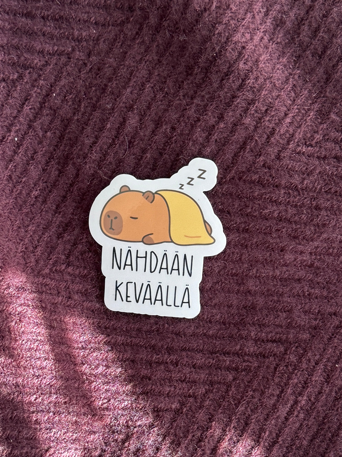 Nähdään keväällä | Hauska vinyylitarra