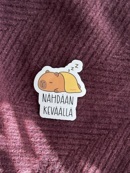 Nähdään keväällä | Hauska vinyylitarra