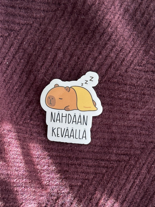 Nähdään keväällä | Hauska vinyylitarra