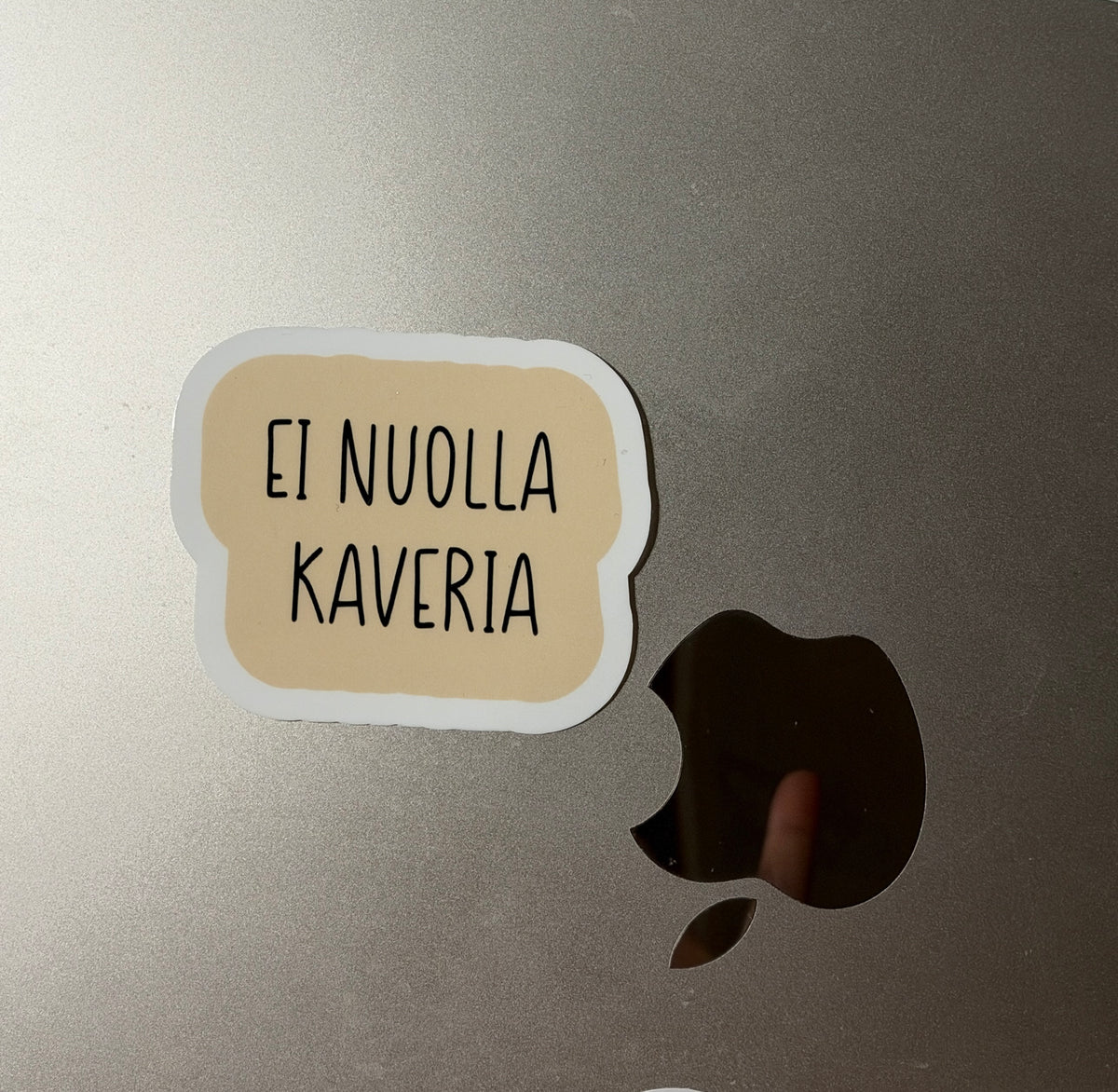 Ei nuolla kaveria – varhaiskasvatusaiheinen vinyylitarra