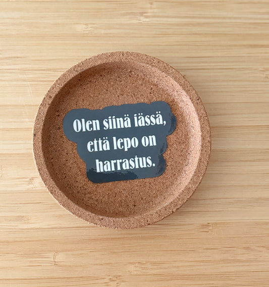 Olen siinä iässä, että lepo on harrastus – vinyylitarra | Aikuisuus™️