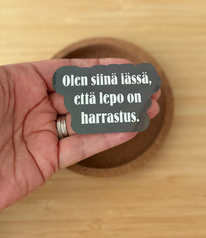 Olen siinä iässä, että lepo on harrastus – vinyylitarra | Aikuisuus™️