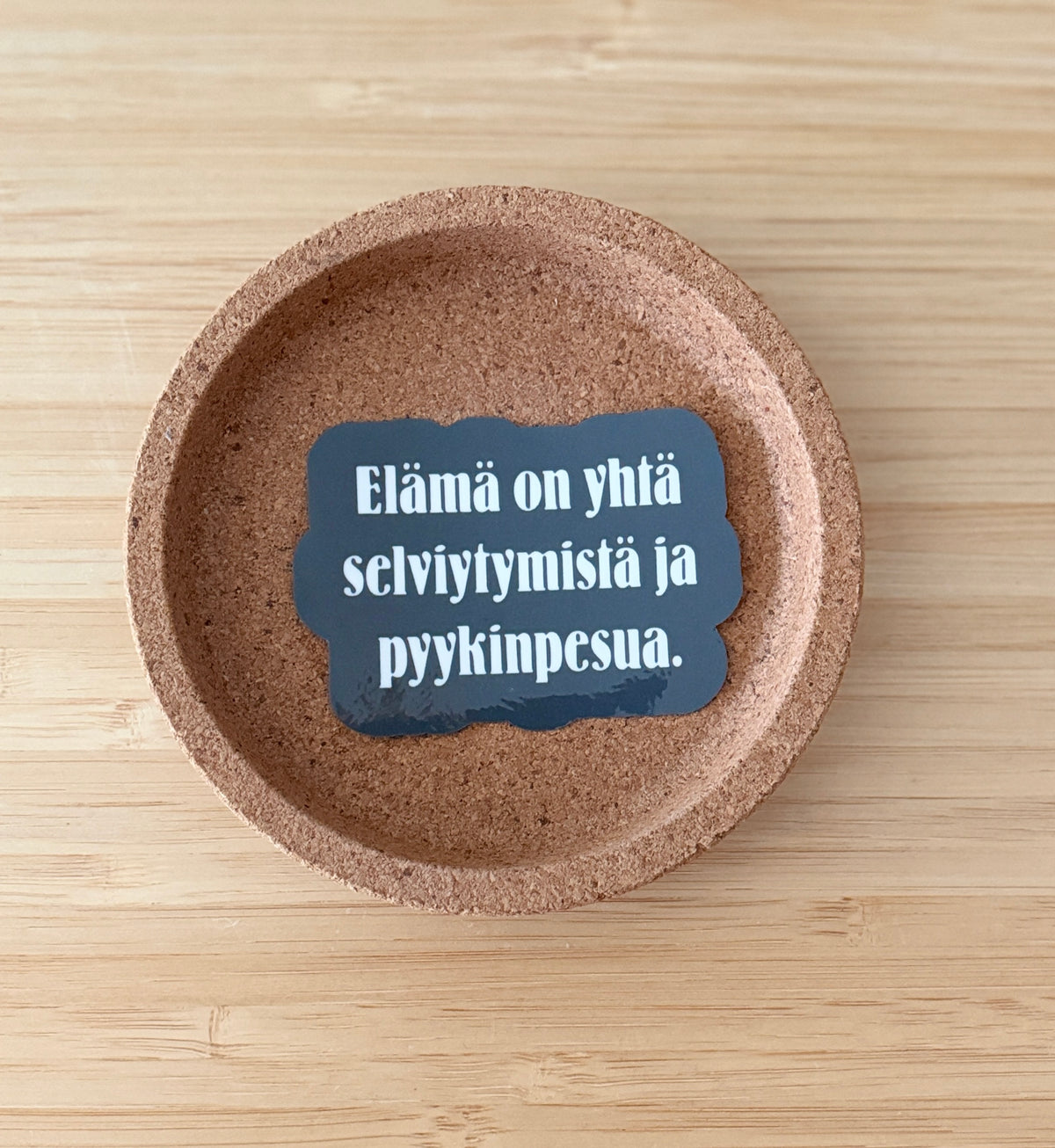 Elämä on yhtä selviytymistä ja pyykinpesua – vinyylitarra | Aikuisuus™️