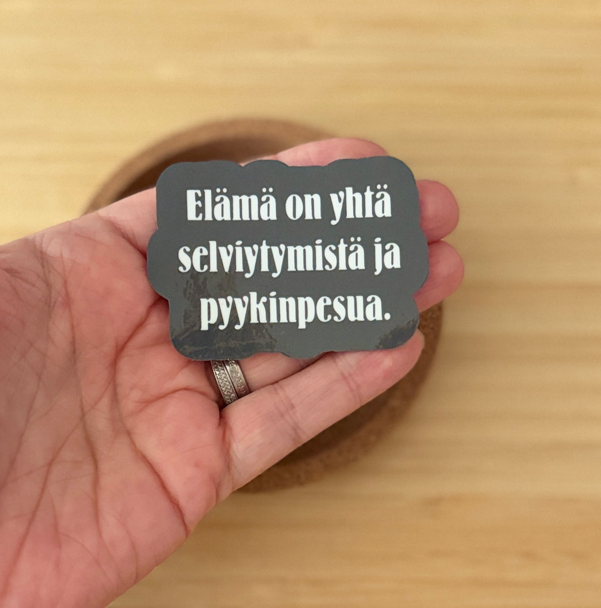 Elämä on yhtä selviytymistä ja pyykinpesua – vinyylitarra | Aikuisuus™️