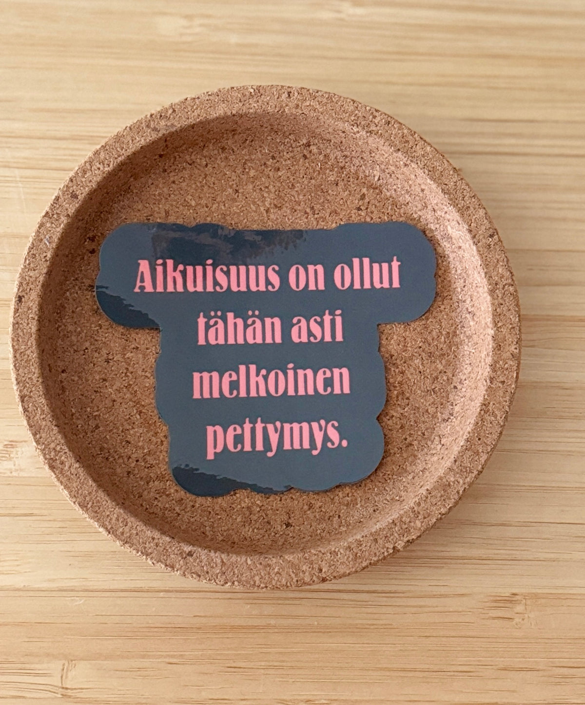 Aikuisuus on ollut tähän asti melkoinen pettymys – vinyylitarra | Aikuisuus™️